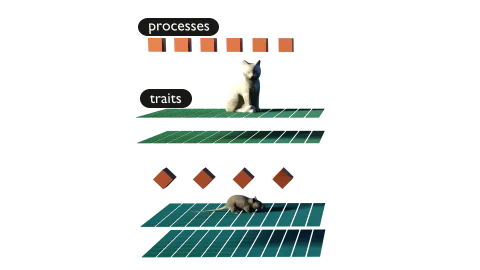 Visualization of multiple species with attached processes