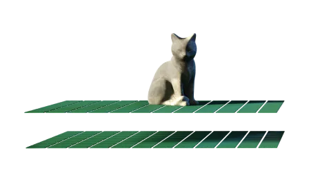 Visualization of a species with associated data
